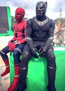 Spider and Panther BTS