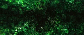 Radiación Gamma