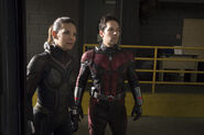 USTODAY Ant-Man-and-Wasp