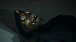 The skeleton of a  soldier left by 