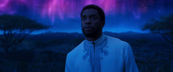 Black Panther OCT17 Trailer 40