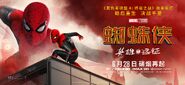 FFH Chinese Banner 02