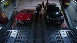 Команда возвращается на Автобус