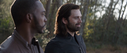 Sam Wilson & Bucky Barnes