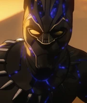 Black Panther - Zombie Outbreak Infobox