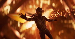 Wasp in Quantum Realm