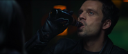 Bucky drinking