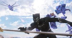 Black Panther5a8bb490c8fa2