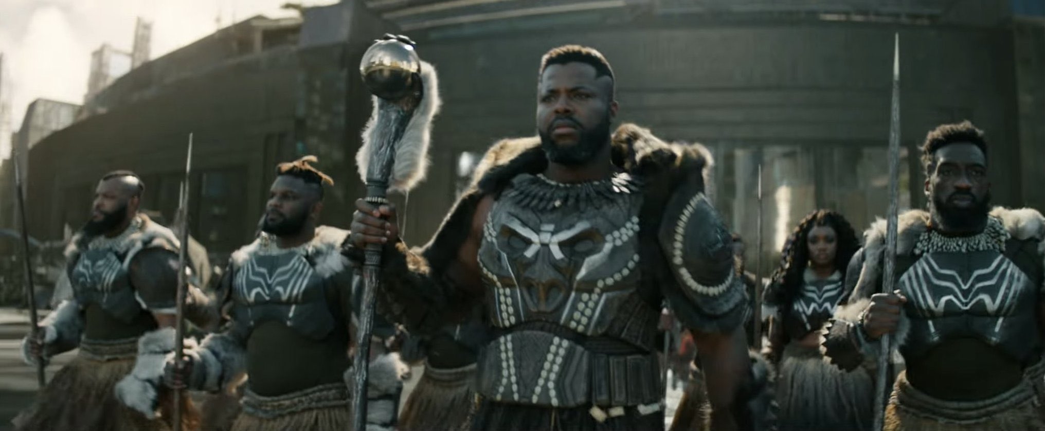 Black Panther, Marvel Cinematic Universe Wiki