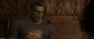 Bruce Banner as Hulk