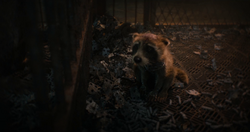 Rocket Raccoon Can Now Cheer for the Rocket City Trash Pandas