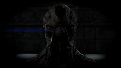 Pachakutiq's true form