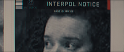 Interpol Notice