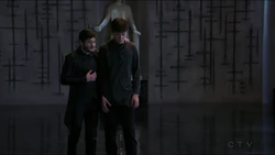 Maximus Bronaja TGNIG