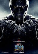 Black Panther Chinese Poster