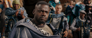 W'Kabi T'Challa-M'Baku Duel