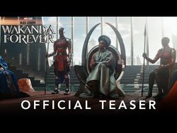 Black Panther Wakanda Forever Marvel Cinematic Universe Wiki