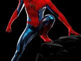 Spider-Man Suit
