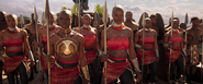 The Dora Milaje