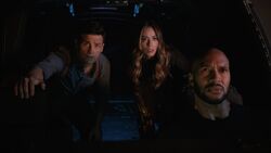 Mackenzie witnesses the  