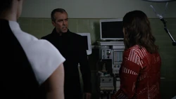 Holden Radcliffe Singularity 15