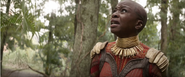 Okoye IW 