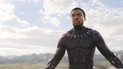 T Challa a punto de luchar en Wakanda