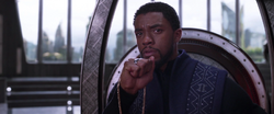 T Challa acepta el reto de Killmonger