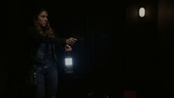 Rodriguez searches for the 