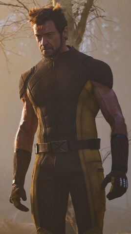 Wolverine Hulk Fighter Wolverine Marvel Cinematic Universe Wiki