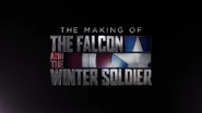 The Making of The Falcon and The Winter Soldier.png (619 KB)