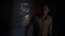 Фитц встречает ""