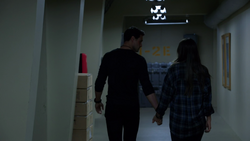 Ward + Skye