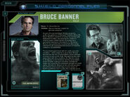 Bruce Banner