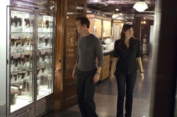 Ross and  see all the samples