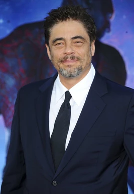 Benicio del Toro
