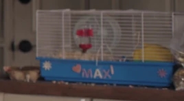 MaxTheHamster