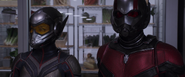 Wasp & Ant-Man