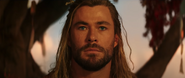 Thor L&T Trailer 11