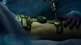 Rand Compression Brace