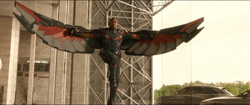 Falcon New Wings