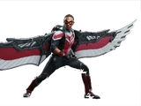 EXO-7 Falcon