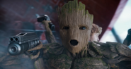 Groot Gun