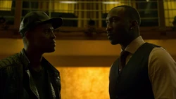 ZipCottonmouthDiscussingDColon