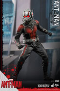 Ant-Man Hot Toys 3