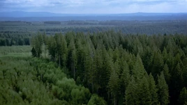 Trillemarka National Park 1