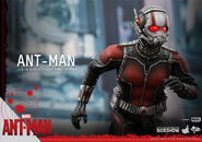 Ant-Man Hot Toys 12