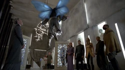 Iridia flying with her wings