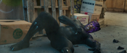 T'Challa Knocked Down