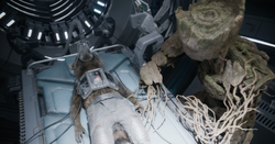 Groot at Rocket's bedside